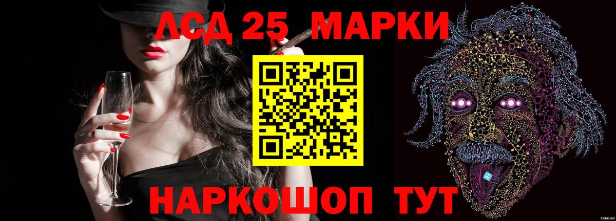 LSD-25 экстази ecstasy  ОМГ ОМГ зеркало  ЛСД экстази ecstasy  Новоалександровск  Вход с VPN 