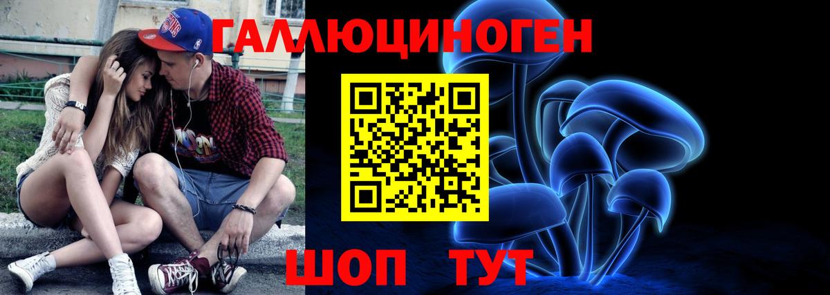 Новоалександровск  Галлюциногенные грибы прущие грибы  Вход с VPN 